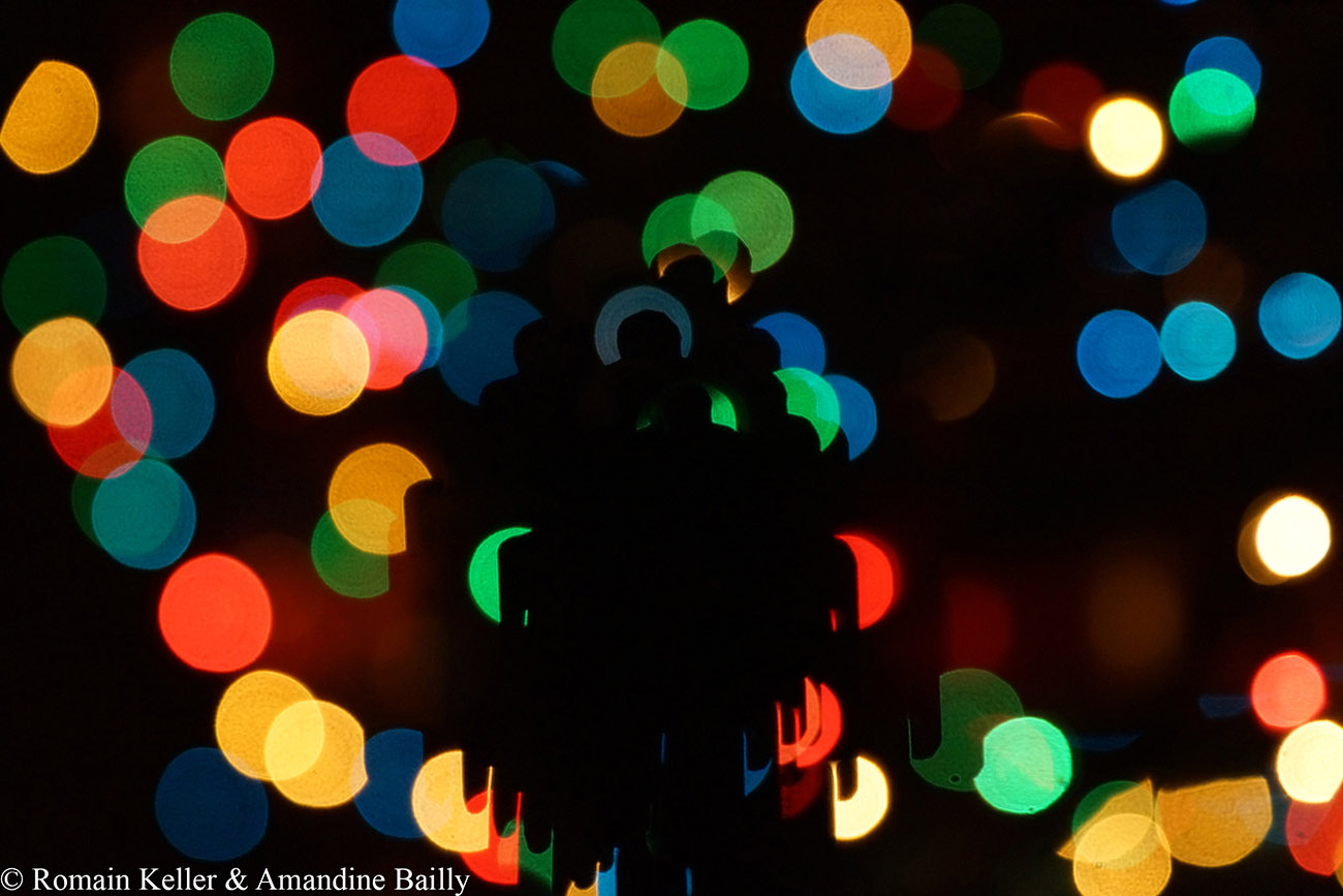 Bokeh artistique