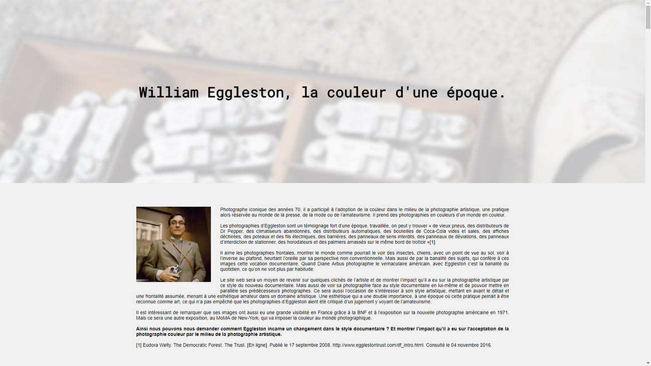 Travail de master, recherche sur le photographe William Eggleston