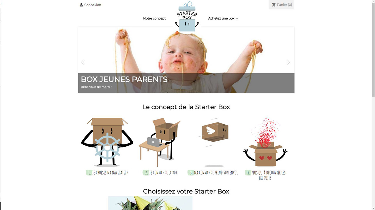Travail de master, Création du concept et du site web