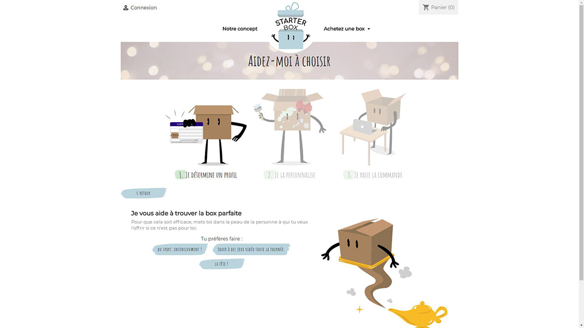 Travail de master, Création du concept et du site web